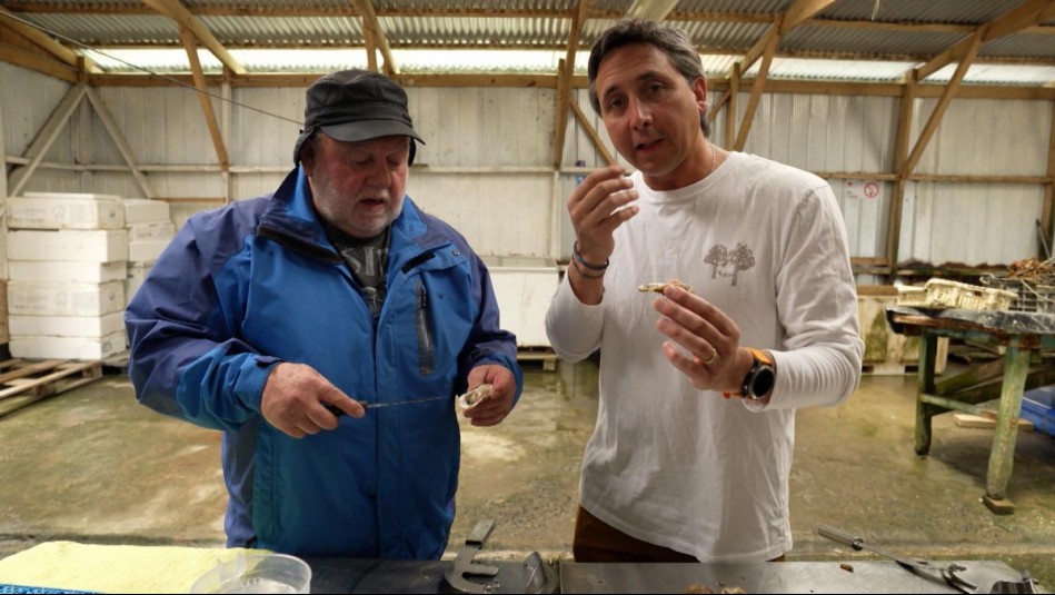 Agua Viva - Capítulo 1: Ostras chilenas