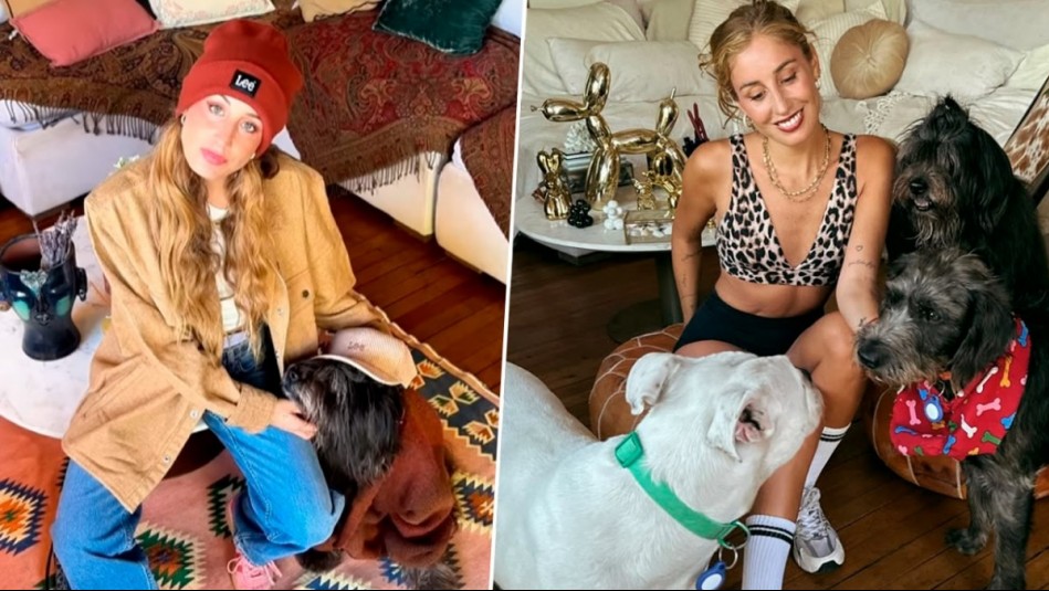 El feo comentario que recibió Dani Castro por sus perritos y que sacó ronchas en redes sociales: 'Me da pena'