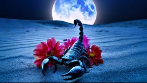 Estos tres signos del zodiaco rompen su soledad el 6 de junio con la Luna en Escorpio