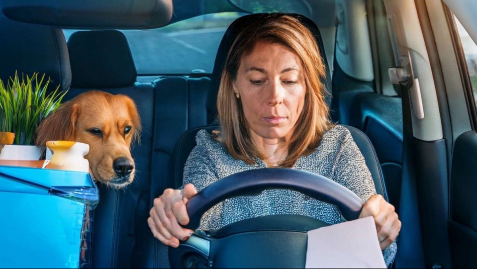 Siempre das el primer paso y también el último: Marte y el peso de hacerlo todo