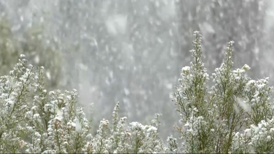 Nieve a esta hora en el Cajón del Maipo: Las impresionantes imágenes captadas por Mucho Gusto en Baños Morales