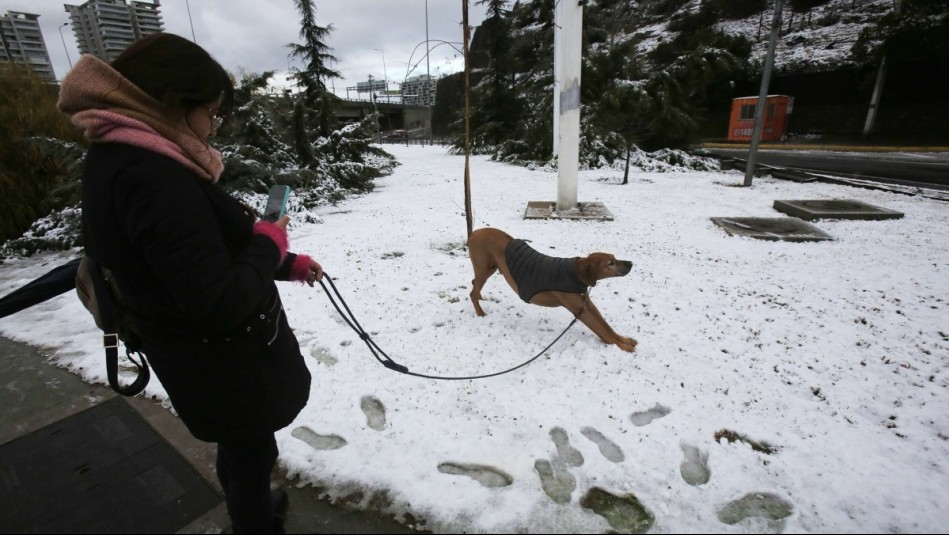 'Con la posibilidad de nieve': Jaime Leyton anuncia nuevo sistema frontal para este martes en Santiago