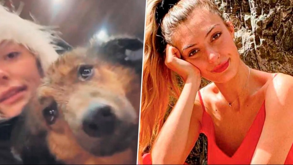 Tutú Vidaurre rescata a perrita callejera en el sur y la trae a Santiago: 'Viene a ser parte de una familia'