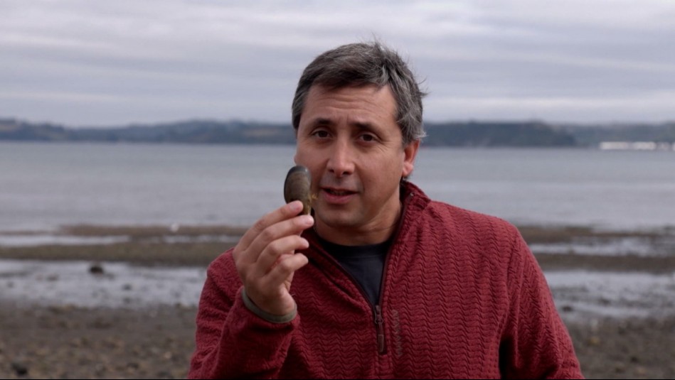 Agua Viva - Capítulo 4 (Parte 1): Choritos