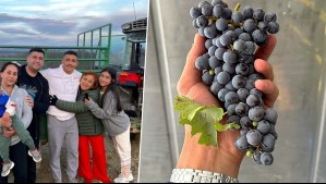 Alexis Sánchez mostró en video parte de lo que será su viña AlmaSoul