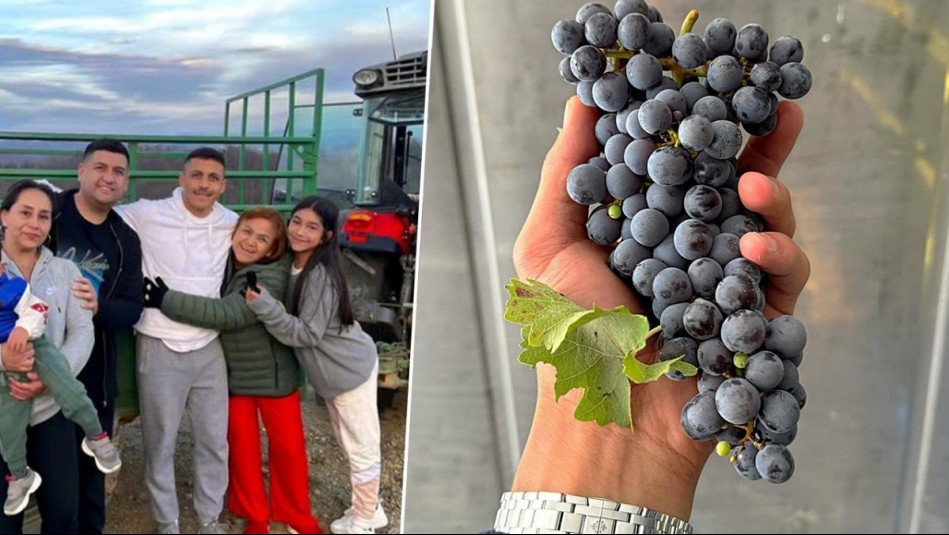 Alexis Sánchez mostró en video parte de lo que será su viña AlmaSoul