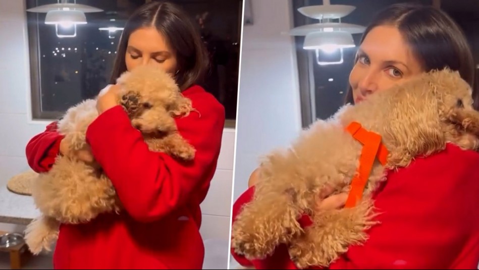 'Necesita recuperación': Eugenia Lemos revela delicado estado de salud de su perrito de 14 años