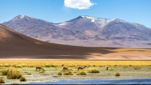 ¿Qué hacer en San Pedro de Atacama? Itinerarios completos para 3, 5 y 7 días
