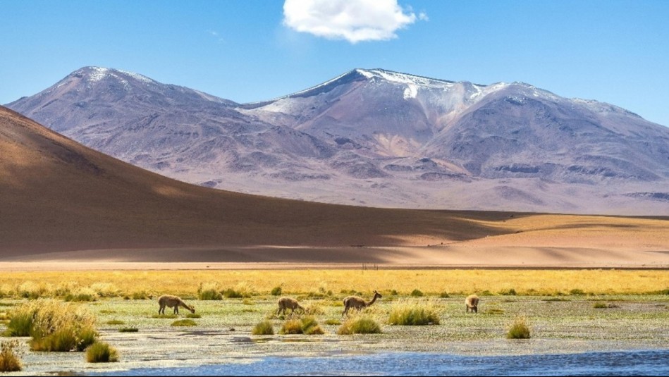 ¿Qué hacer en San Pedro de Atacama? Itinerarios completos para 3, 5 y 7 días