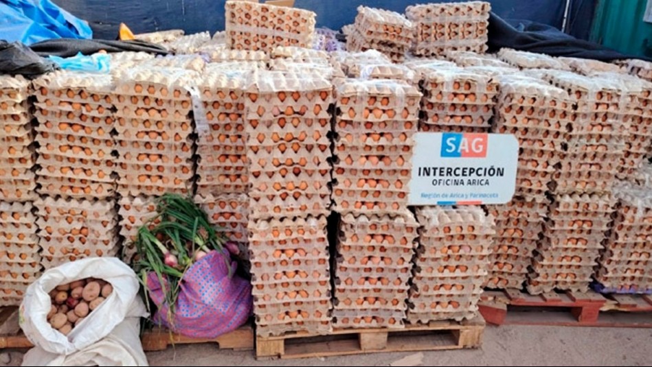 Alerta por contrabando de huevos desde Bolivia: SAG incautó más de un millón de unidades en 2025
