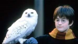 Publican primera imagen del rodaje de serie sobre Harry Potter: Así luce el nuevo protagonista