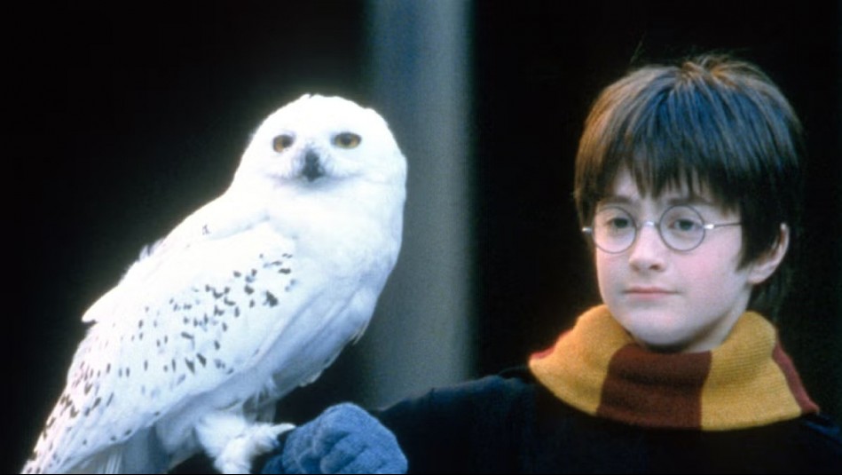 Publican primera imagen del rodaje de serie sobre Harry Potter: Así luce el nuevo protagonista