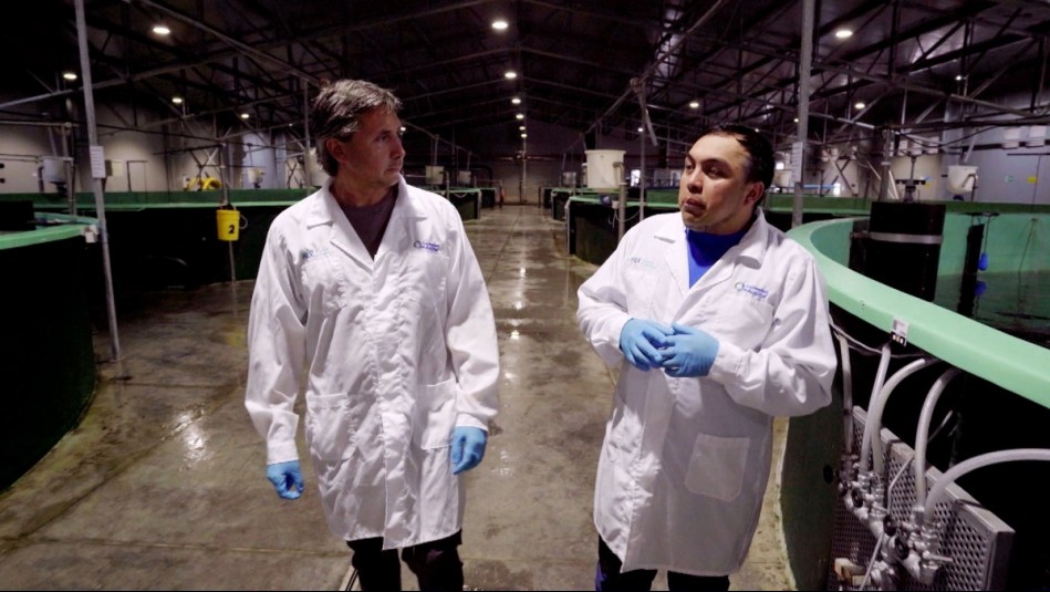 Agua Viva - Capítulo 8 (Parte 1): La salmonicultura en tierra firme