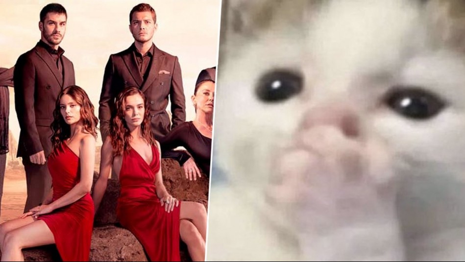 'Ya soy feliz': Corazón Negro cautivó a los espectadores con su primer capítulo