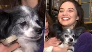 Cote Quintanilla se encontró con Molly: La integrante más tierna de Aguas de Oro