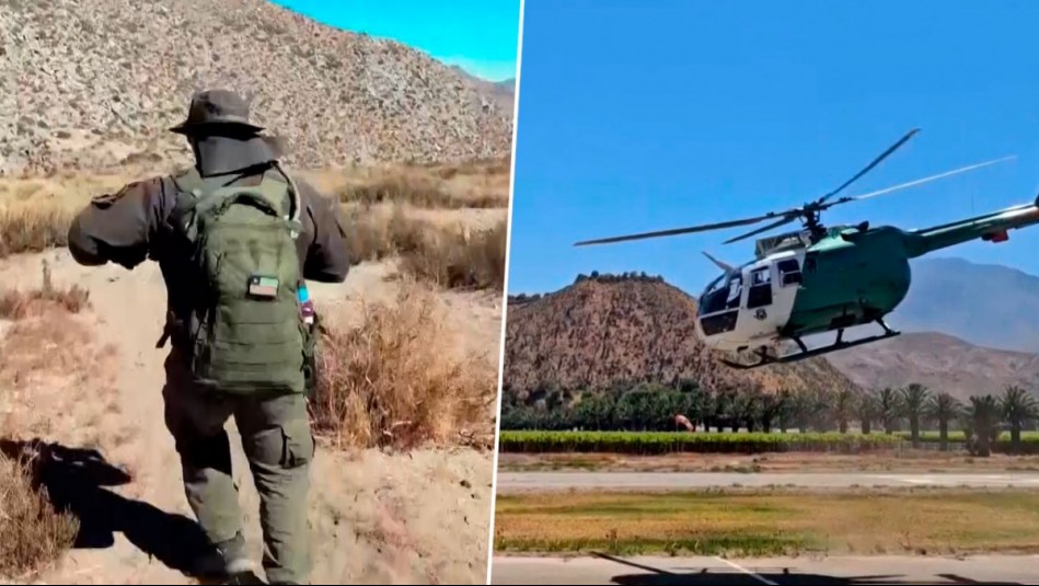 Atrapados en cinematográfica persecución: Caen narcos con extensa plantación de marihuana en Vicuña