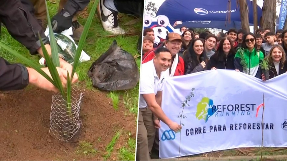 Megamedia Sostenible anuncia Reforest Running, una corrida para reforestar Viña del Mar