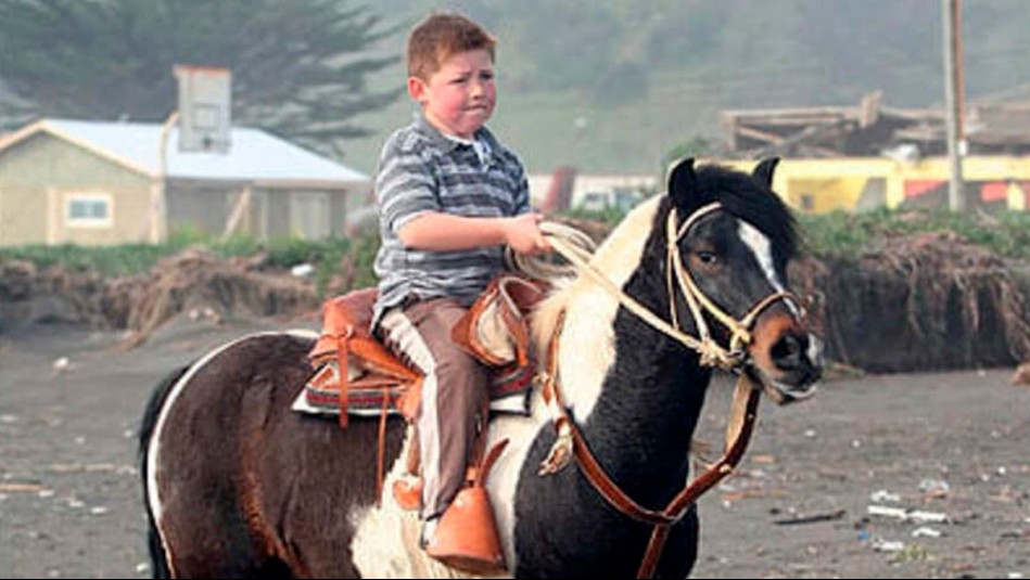 'Ojalá estén juntos allá': Muere 'Dominó', el caballo que regaló Felipe Camiroaga al 'Zafrada'