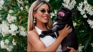 "Me rompo a llorar": Oriana Marzoli confiesa su profunda pena a un mes de la muerte de su mascota