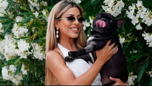 "A punto de llorar": Oriana Marzoli comparte especial momento que la conectó con su fallecida mascota