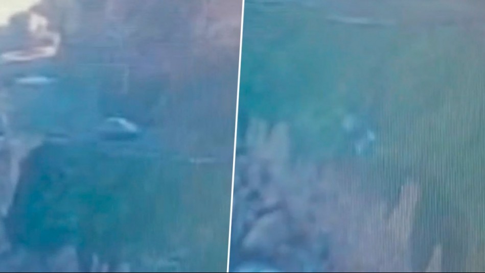 Video muestra momento exacto en que vehículo pierde el control y cae a roqueríos en Viña del Mar