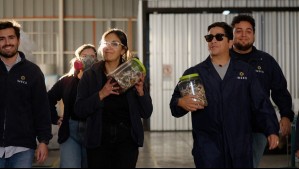 Avance de ¿A qué costo?: El precio de consumir