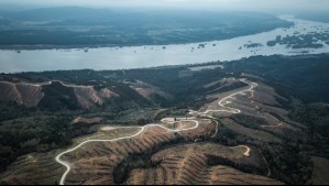 WRC Rally Chile 2025: La cuarta edición aterriza en la Región del Biobío