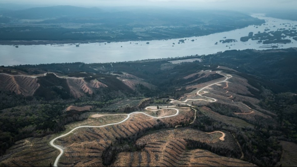 WRC Rally Chile 2025: La cuarta edición aterriza en la Región del Biobío