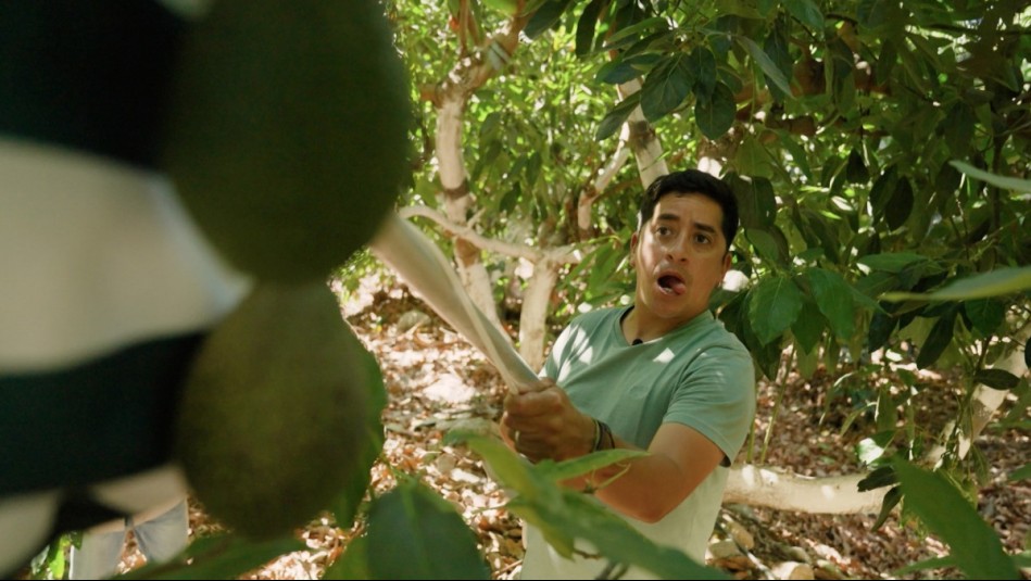 Avance de ¿A qué costo?: El precio de alimentarnos