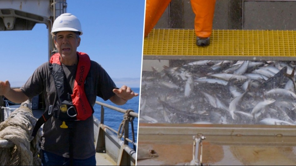 Pescadores de Altamar - Capítulo 3: El exitoso botín de 500 toneladas de jurel