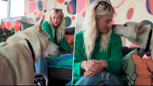 El tierno gesto de Vesta Lugg con perrita abandonada con sus nueve cachorros: "Es tímida y dulce"