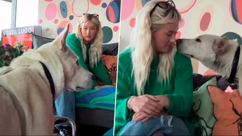 El tierno gesto de Vesta Lugg con perrita abandonada con sus nueve cachorros: 'Es tímida y dulce'