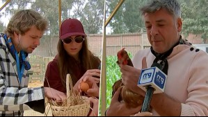 Así es la chacra donde los participantes de El Internado tendrán que cosechar sus productos