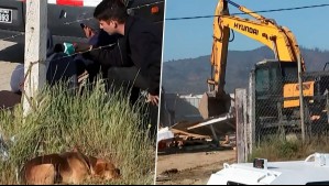 Sentido mensaje de pobladora desalojada de toma de Quilpué: "Nunca más se tomen terrenos que no son de ellos"