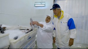 Pescadores de Altamar - Capítulo 4: La pesca de la merluza