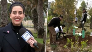 Festival de Viña del Mar recibe certificado HuellaChile por sostenibilidad