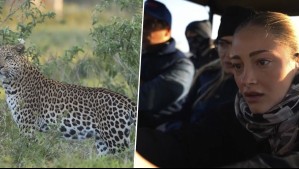 "Un verdadero regalo de la madre naturaleza": Clan Araneda Vacarezza vio a un leopardo en Vive Sudáfrica