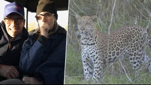 Vive Sudáfrica - Capítulo 1: Los Araneda Vacarezza ven un leopardo