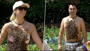¿Lo ganaron? Carla Ochoa y Luis Sandoval se llenaron el cuerpo de abejas por beneficio para sus equipos