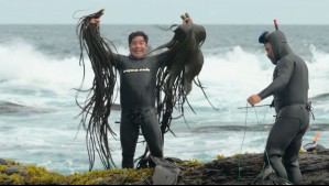 ¿A qué costo? - Capítulo 7: Los recursos del mar