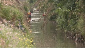 PDI realiza labores de rastreo en canal de regadío en San Bernardo en búsqueda de Krishna Aguilera