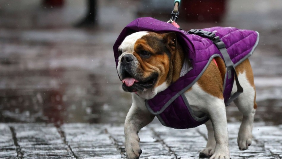 Vuelven las lluvias a Santiago: Anuncian tormentas eléctricas y fuertes ráfagas de viento para este día