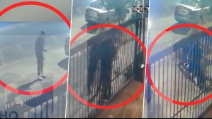 Desaparición de Krishna Aguilera: Video inédito muestra momento exacto en que PDI detiene al 'Guatón Beltrán'