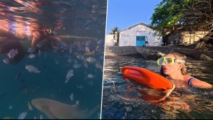 ¡Aventura bajo el mar! Dani Urrizola se atreve a bucear con tiburones en Fernando de Noronha