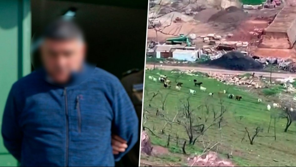 El operativo que acabó con 'El Culebra': Carabineros desbarata banda de cuatreros en el sur