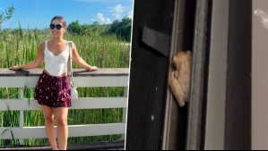 "Llueve y automáticamente salen...": Maura Rivera graba a un curioso visitante animal en su casa de Miami