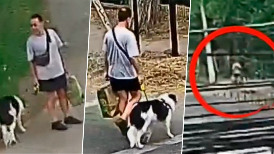Video muestra a sospechoso de triple homicidio: Sacó a pasear a su perro con bolsa donde habría ocultado arma