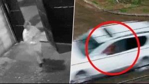 A casi 5 meses: Videos clave revelan nuevos detalles de la noche en que desapareció concejala de Villa Alegre