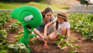 'Impulsar un efecto positivo en la sociedad': Bci apuesta por portafolio sostenible e inclusión financiera