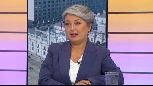 Desde Matthei a Parisi: Las propuestas de otros candidatos que Jara incorporaría para la segunda vuelta